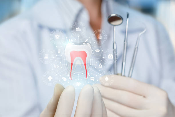 Best Periodontal (Gum) Disease Treatment  in Boulevard Gardens, FL